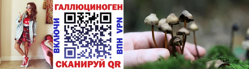 Галлюциногенные грибы MAGIC MUSHROOMS где купить Оса